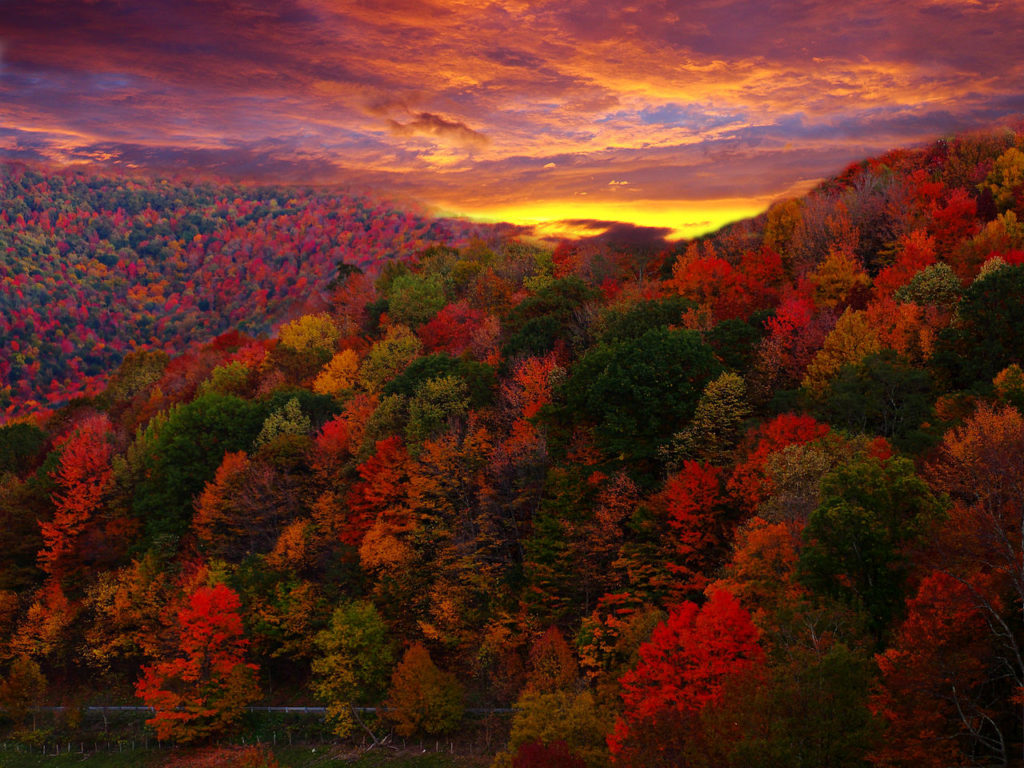 1280px-Country-road-autumn-